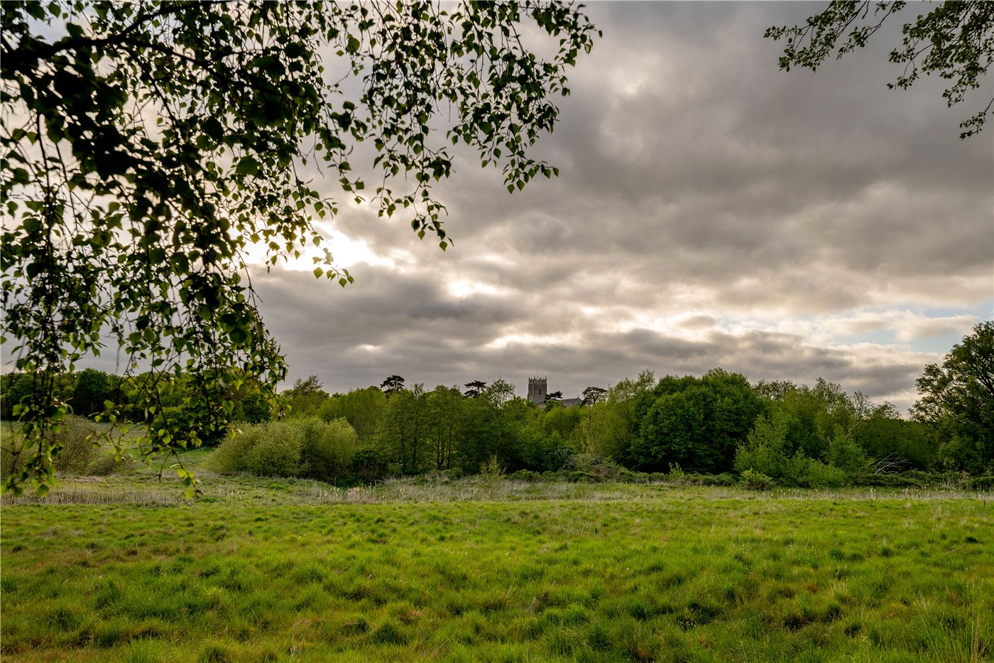 Field Views